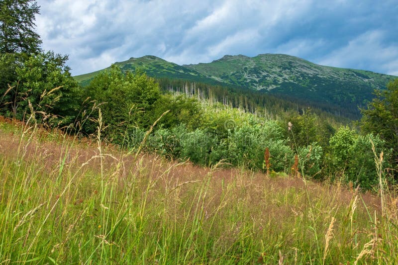 Trávnatá lúka na pozadí zamračenej oblohy a hôr. Nízke Tatry, Slovensko.