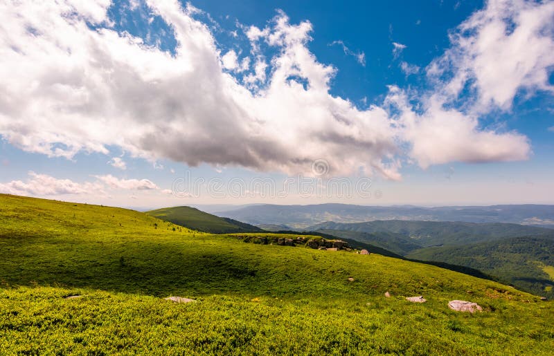 Grassy meadow on mountain hills royalty free stock photos Grassy meadow on mountain hills royalty free stock photos