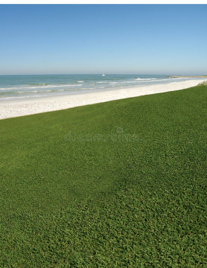 Grassy Ocean View