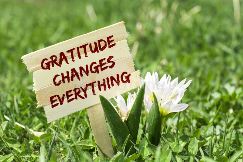 Gratitude changes everything