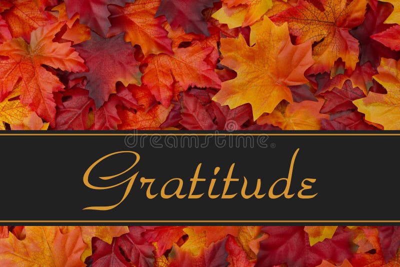 Gratitude Message