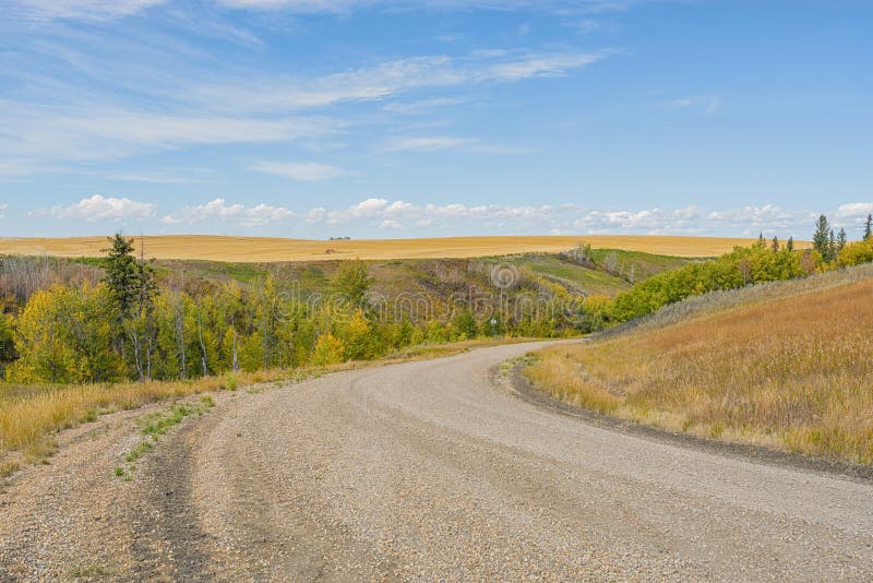 Gravel Backroad Leading into the Praire Stock Photo Image of alberta