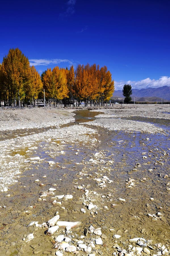 Gravel Beach stock photo. Image of autumn, brook, stream 40717824