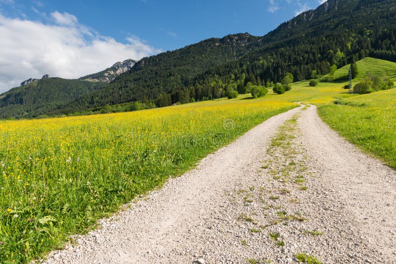 Gravel path in summer landscape with mountain