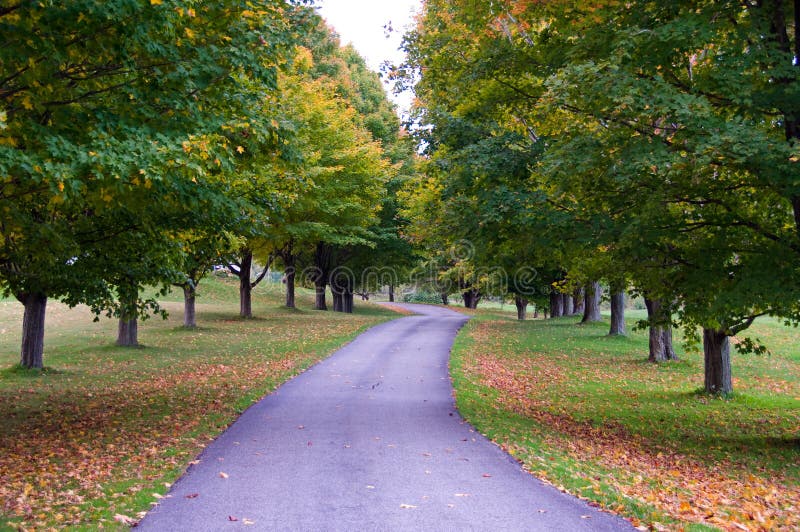 Gravel road through autumn woods