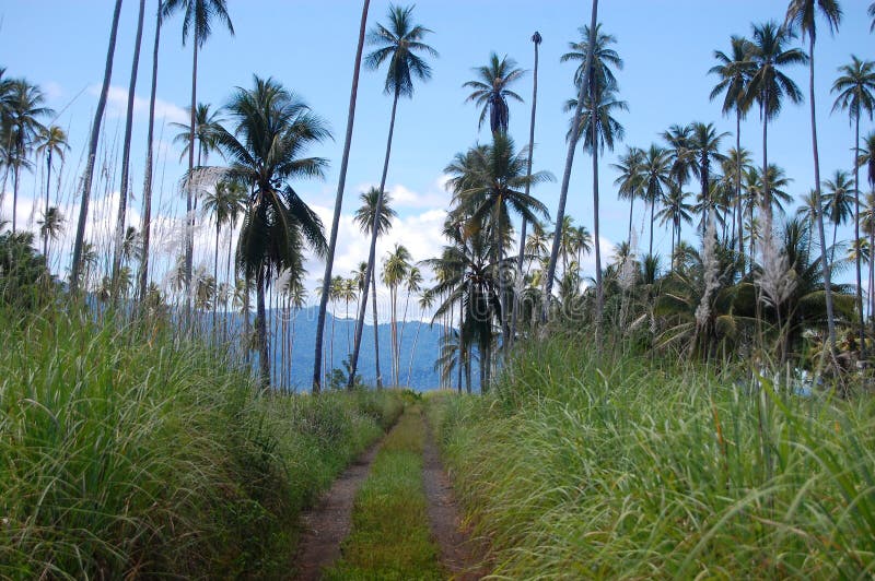 Gravel road at tropics