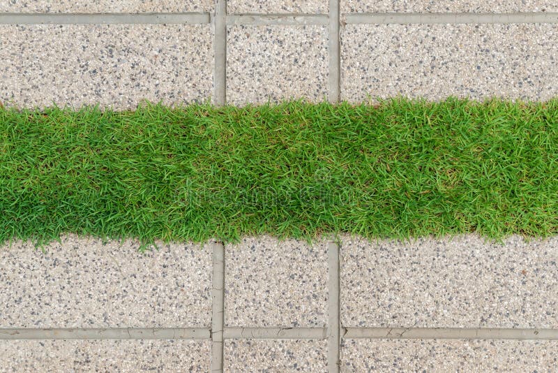 Gravel Texture And Strip Grass Stock Photo Image 50111878