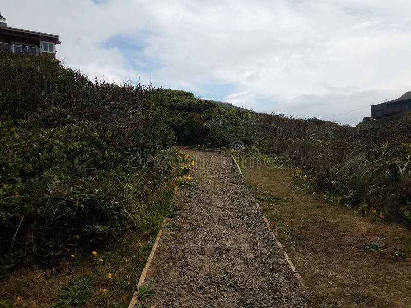 Gravel Trail or Path on Hill with Green Plants Stock Photo Image of