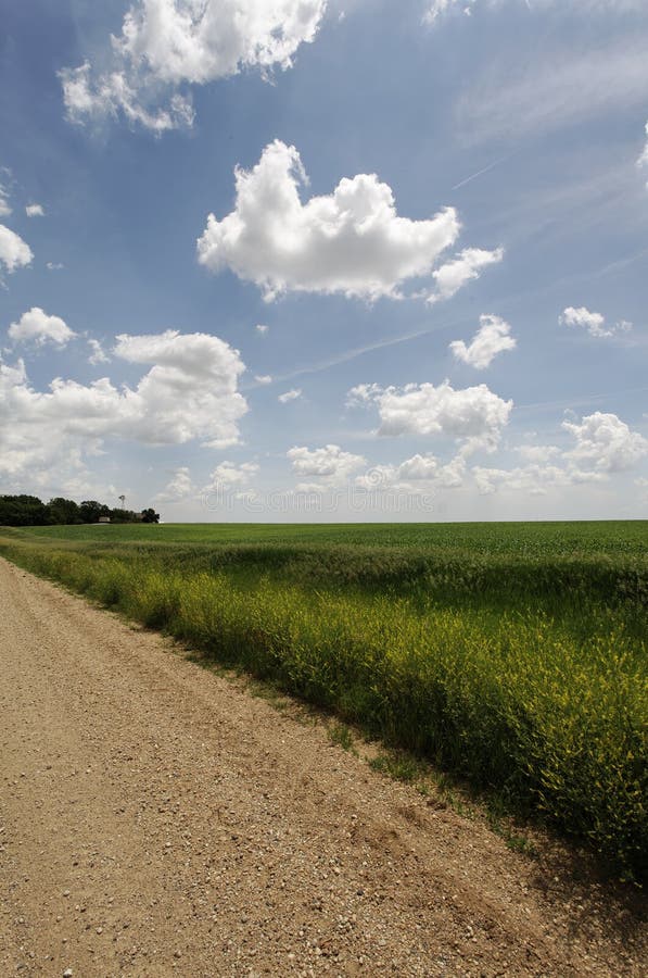 Gravelez la zone agricole rurale de route images stock Gravelez la zone agricole rurale de route images stock