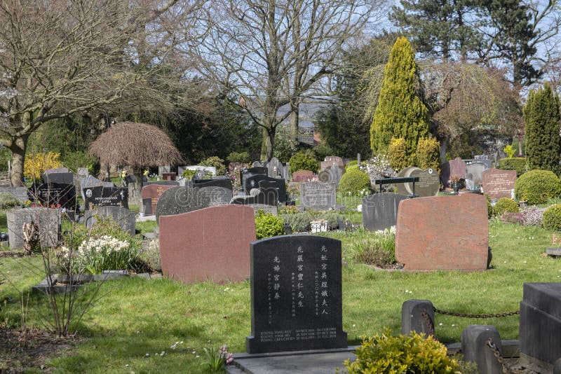 Graves Surrounded By Nature At The Nieuwe Ooster Cemetery Amsterdam The Netherlands 2020burial, cemetery, cloud, empty, front