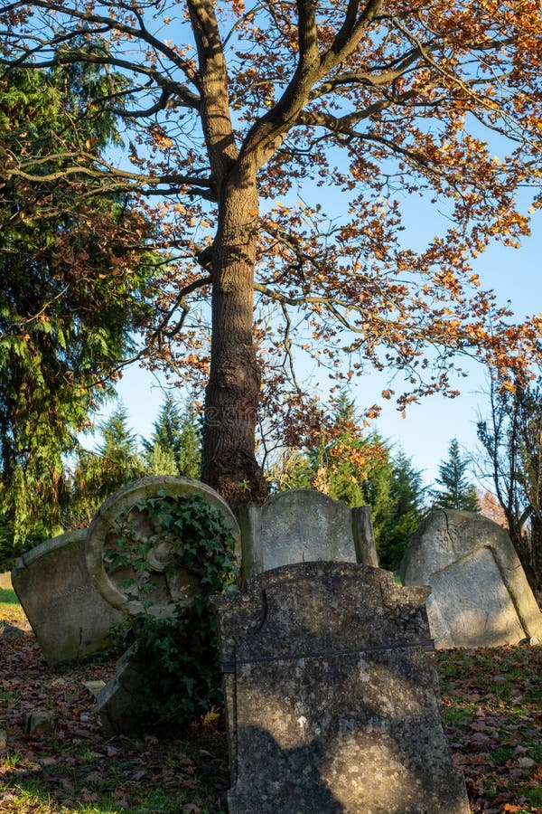 Gravestenen in Paines Lane Cemetery, Pinner, met graven uit Victorian Times, op de velden Paines Lane, Pinner, Middlesex, VK stock foto Gravestenen in Paines Lane Cemetery, Pinner, met graven uit Victorian Times, op de velden Paines Lane, Pinner, Middlesex, VK stock foto