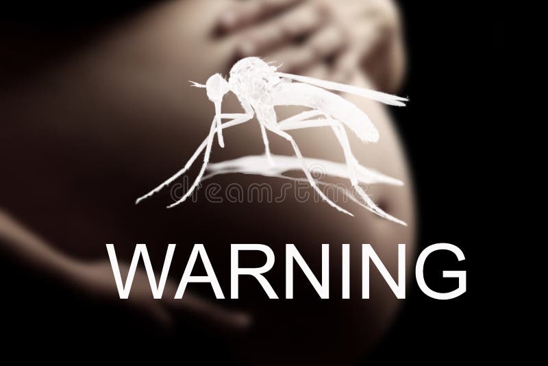 Gravid kvinna förestående fara till viruset Zika royaltyfria foton Gravid kvinna förestående fara till viruset Zika royaltyfria foton