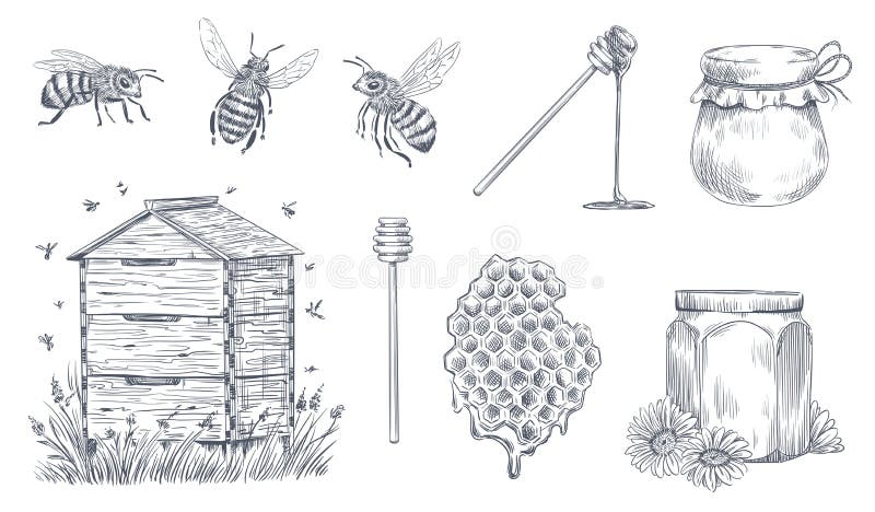 Gravierende Honigbienen Handgezogene Imkerei, Weinlesehonigbauernhof und honeyed Bienenblütenstaubvektorillustrationssatz
