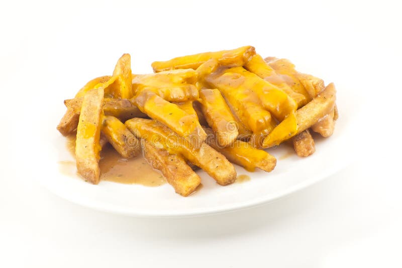 Gravy and Cheese Disco Fries Stock Image Image of fast, gravy 48817299