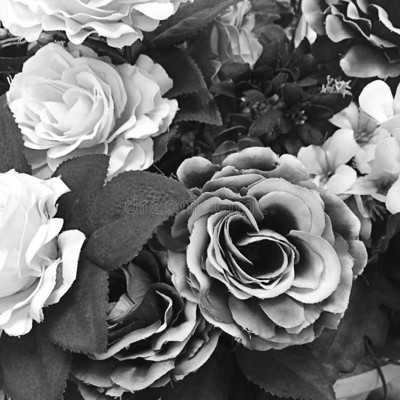 Gray Rose On White Fabric Background, Fragment Of Colorful Retro Stock