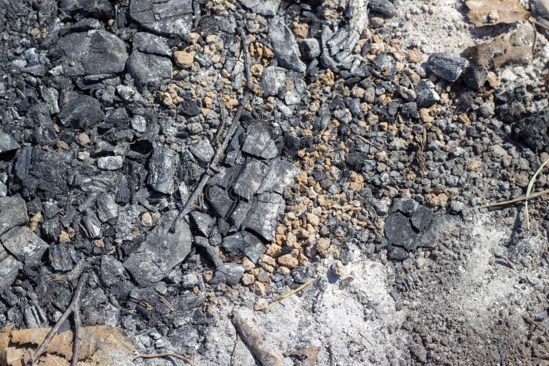 Gray Ash on the Ground from a Fire in Nature, Coal, Gray Ash from