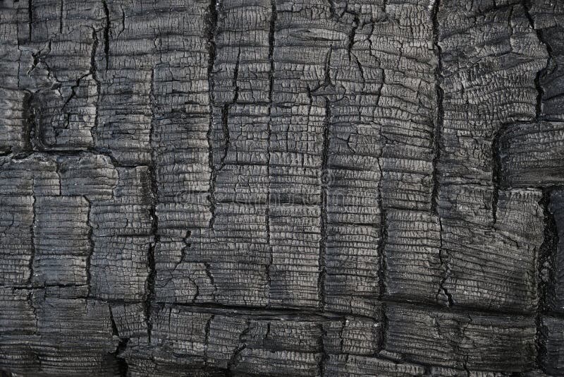 Gray Background of a Burnt Charred Wooden Board Stock Photo Image of