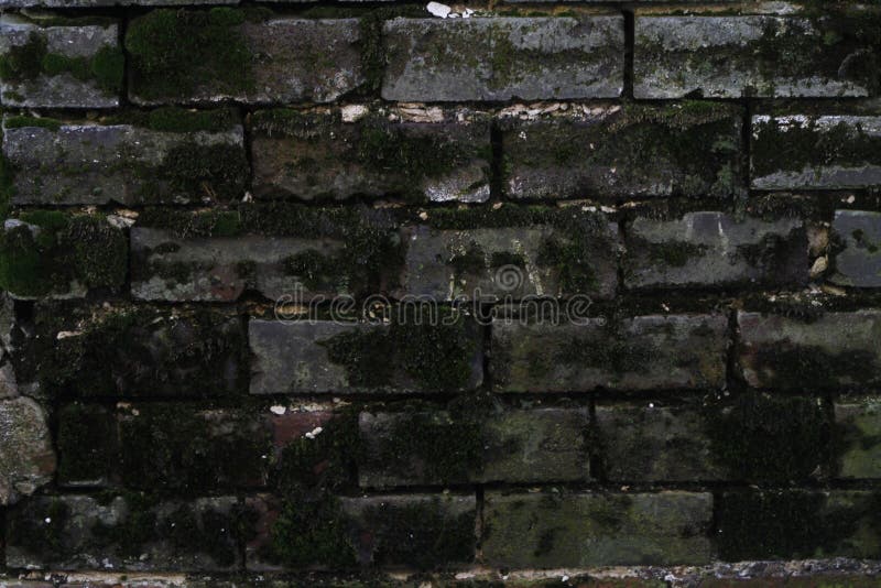 Gray Brick Wall Grunge Texture noir