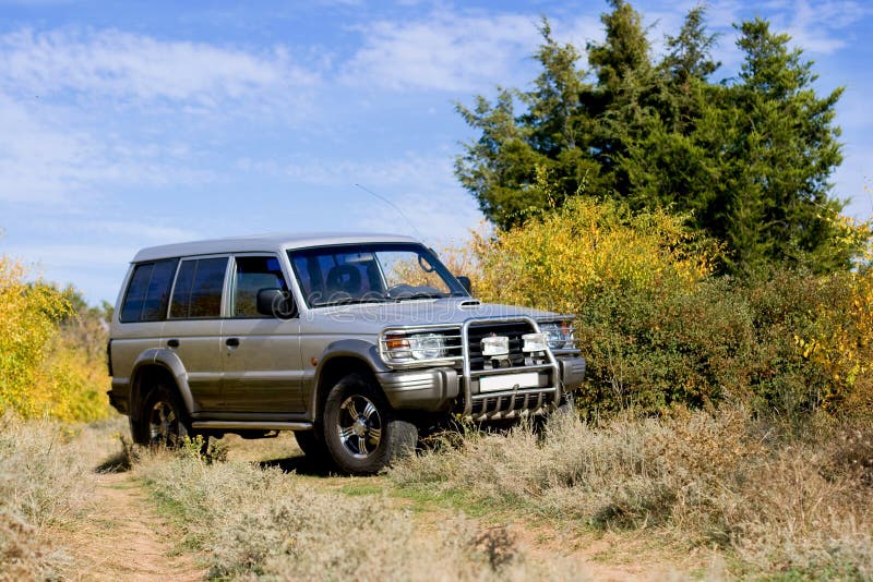 Gray car on rural landscape