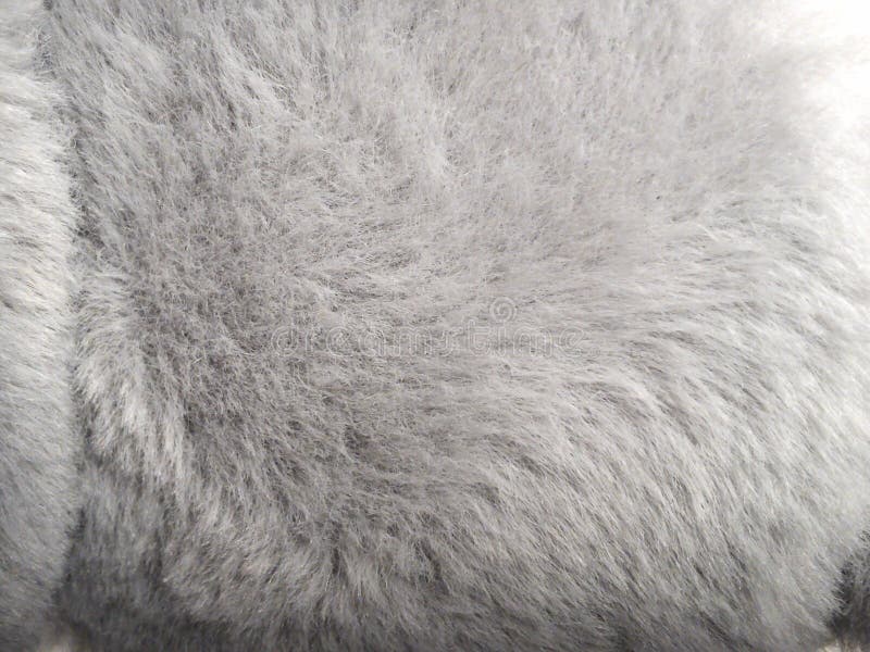 Fluffy White Furry Fabric Stock Photo, Picture and Royalty Free