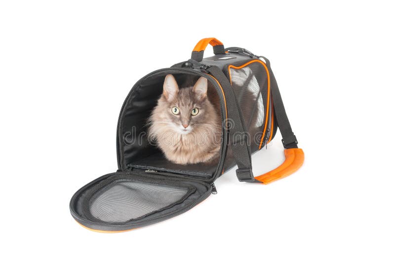 cat carrying cases