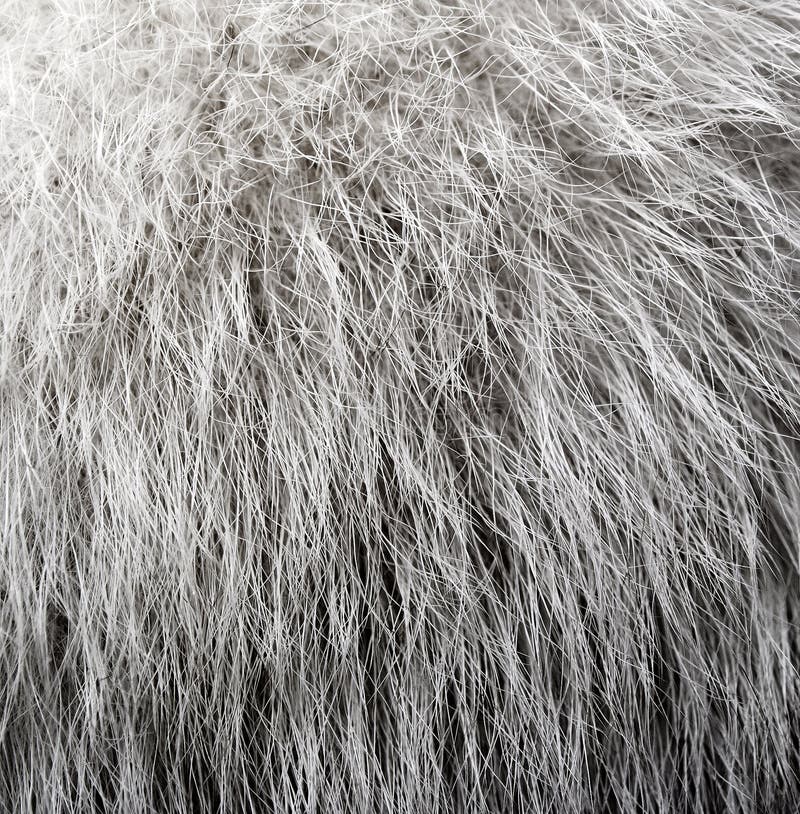 Gray fur for background stock image. Image of fluffy - 42221021