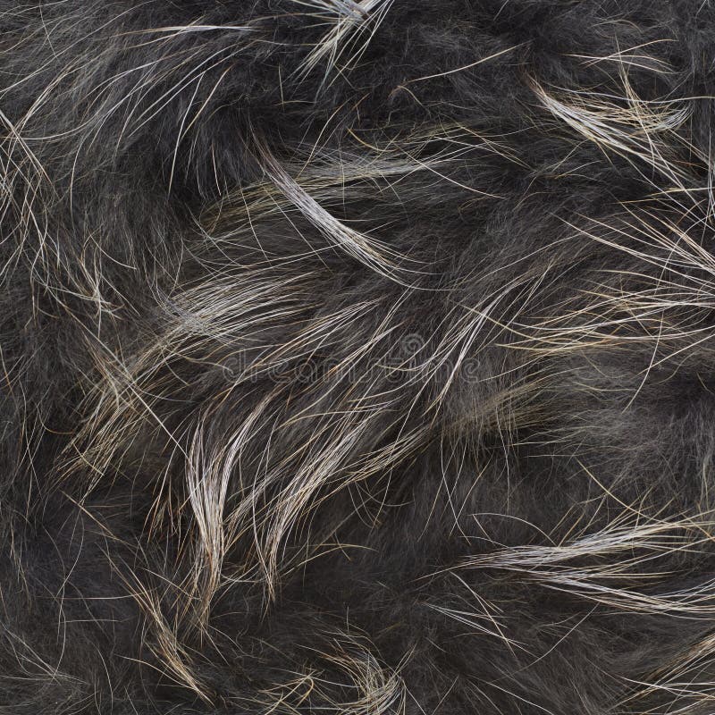 Gray Fur Texture Stock Photo - Image: 47484886