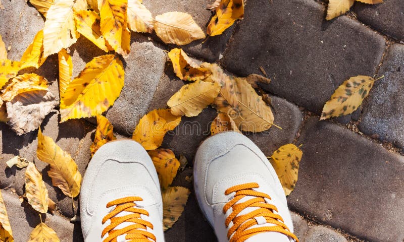 Gray grey sport shoes sneakers on the background of dry yellow leaves on the sidewalk in autumn fall on a sunny day