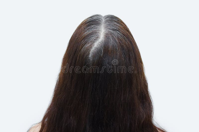 Gray Hair on Crown of a Woman Head. View from the Back Stock Image - Image  of care, crown: 239627841