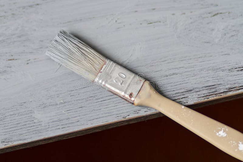 Gray paint brushes stock photo. Image of improvement 234947768