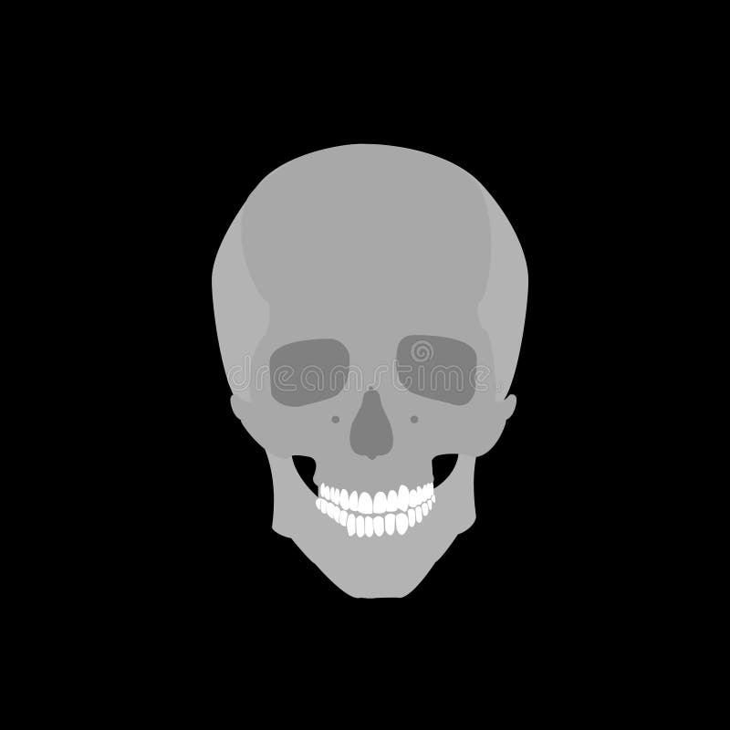 Gray Skull on Black Background Vector Stock Vector - Illustration of ...