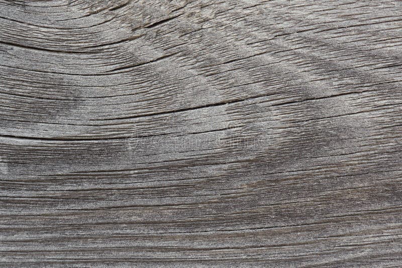 Old Gray Board Close Up. Blackened Cracked Wood. a Weathered