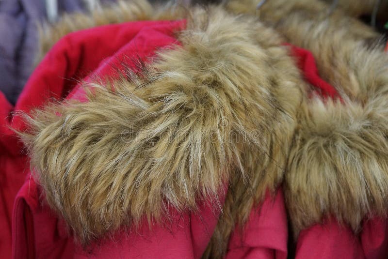 Gray Thick Fluffy Fur on the Collar of Red Clothes Stock Image - Image ...