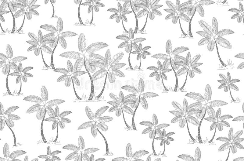 Gray Vector Palm Trees Isolated On White Background. Hand Drawn