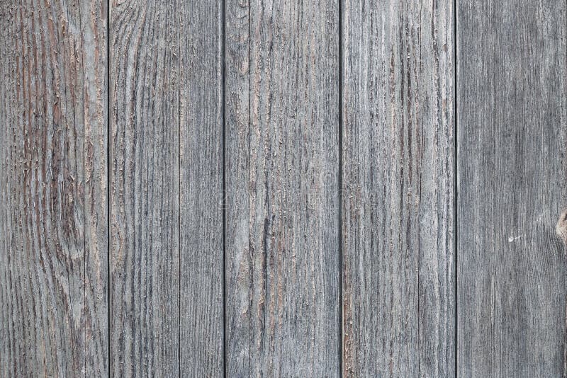 Gray Vertical Planks với tông màu xám độc đáo, đang trở thành xu hướng mới trong nghệ thuật trang trí nội thất hiện đại. Cùng xem những hình ảnh liên quan để tận hưởng trải nghiệm mới mẻ của Gray Vertical Planks và cảm nhận được vẻ đẹp tự nhiên mà chúng mang lại cho không gian.