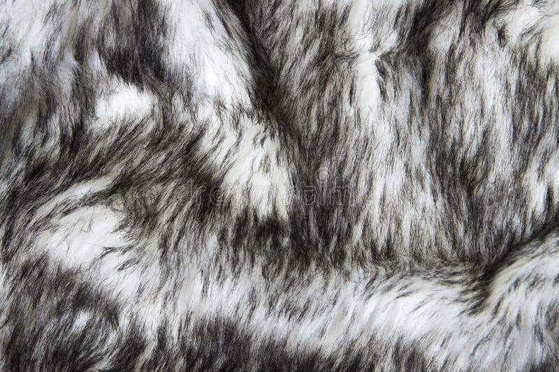 Gray Wolf Artificial Fur Background Texture Design Black and White Fake ...