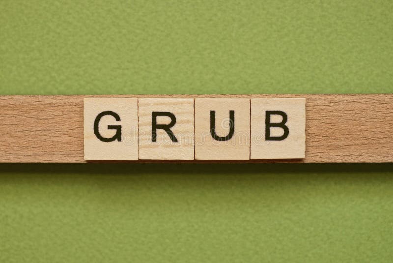 Gray word grub made of wooden square letters on green background
