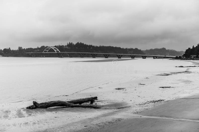 A grayscale shot of driftwood on the foamy coastline in Siletz Bay along the Oregon coast, OR, US