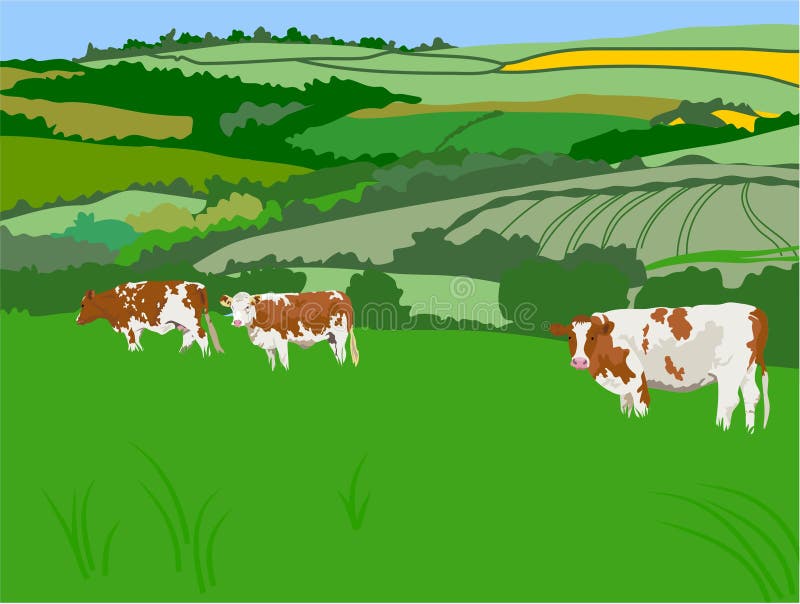 Download Grazing Cows stock vector. Illustration of fields, landscape - 78913