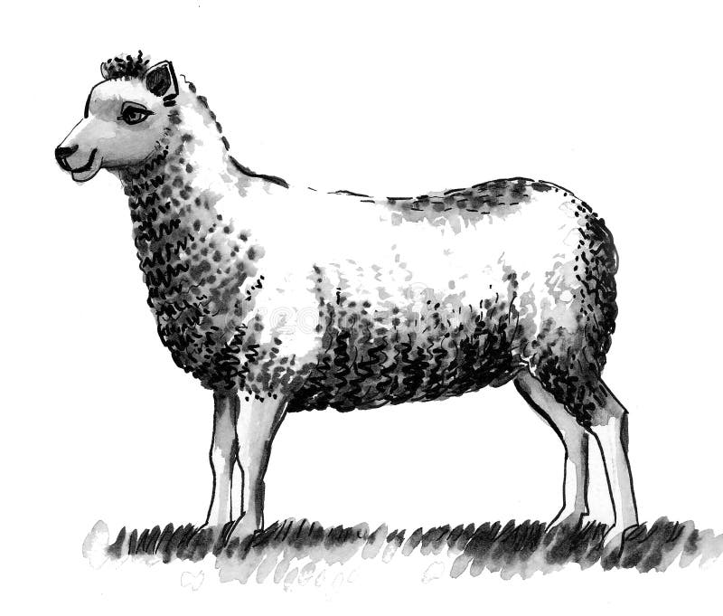 Grazing Stock Illustrations 3,582 Grazing Stock Illustrations, Vectors & Clipart Dreamstime