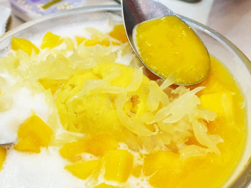 gream raffreddato del sagù del mango con il pomelo immagini stock libere da diritti gream raffreddato del sagù del mango con il pomelo immagini stock libere da diritti