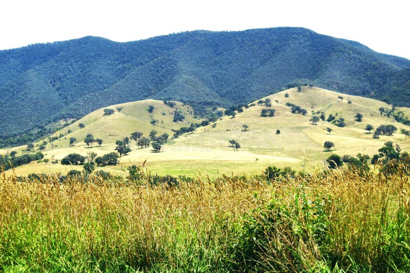 The Great Alpine Road. Australian Landscape royalty free stock image