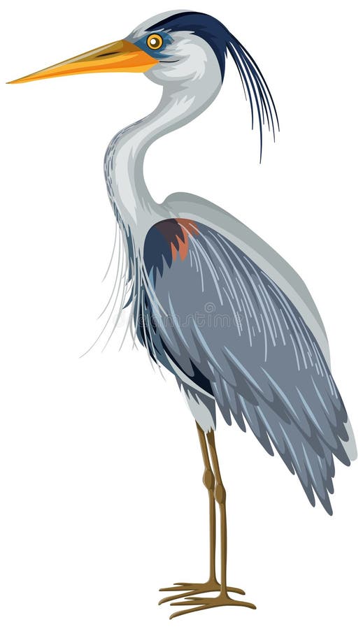 Heron cartoon stock illustration. Illustration of migratory - 29199586