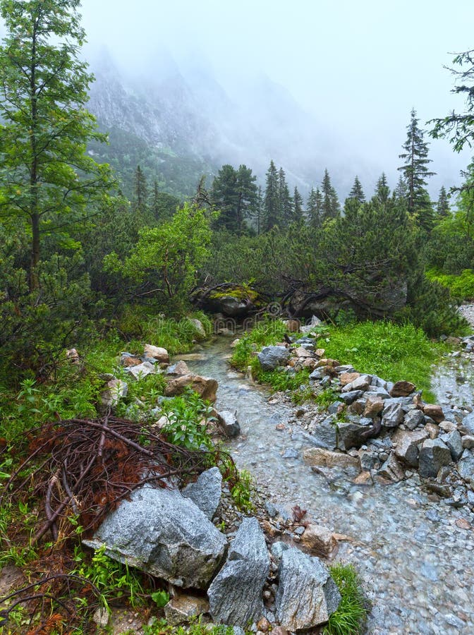 Great Cold Valley summer view (High Tatras, Slovakia).