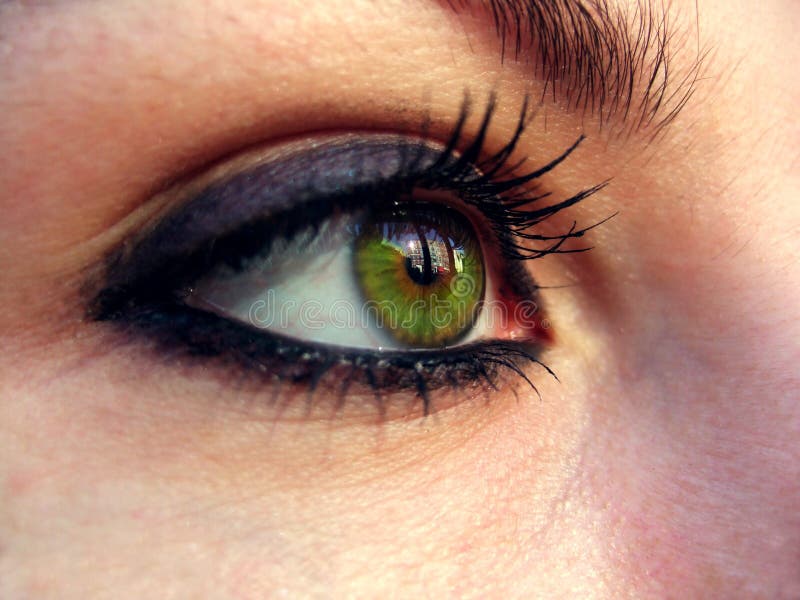 Great green eye stock photo. Image of background, head 517216