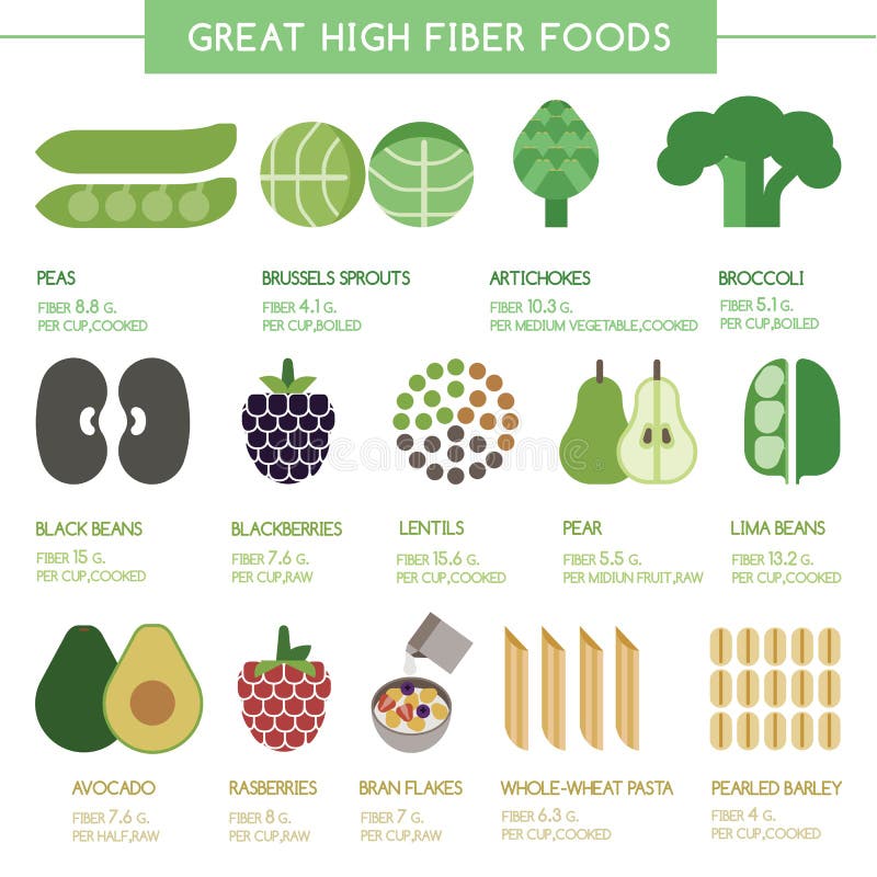 Great high fiber foods stock vector. Illustration of beans - 49526984