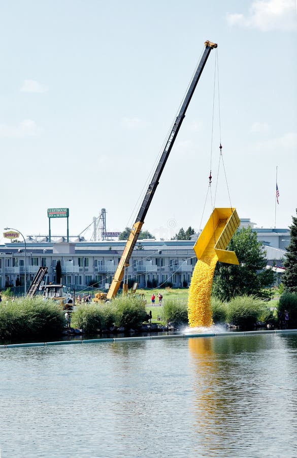 The Great Idaho Falls, Duck Race. Editorial Image Image of line