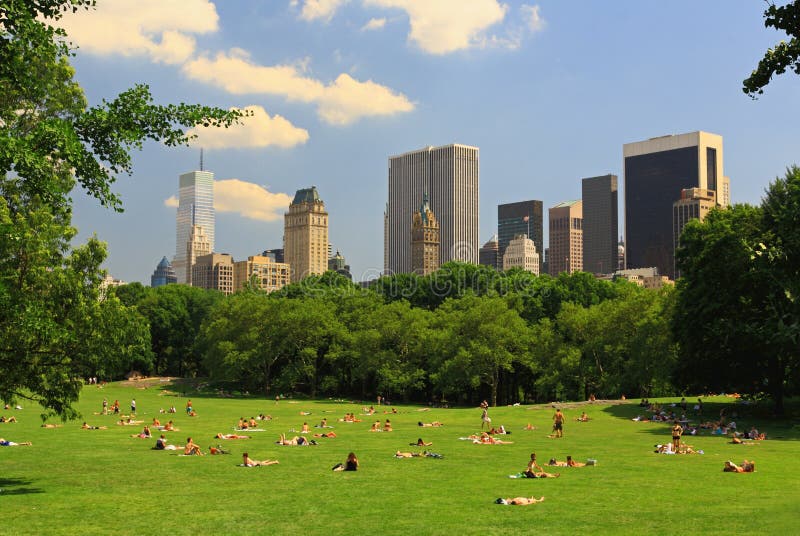 The Great Lawn in Central Park Stock Image Image of skyline, park