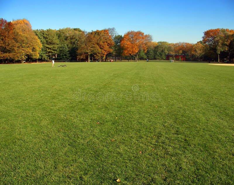 Great Lawn, Central Park, New York Stock Image Image of landmark