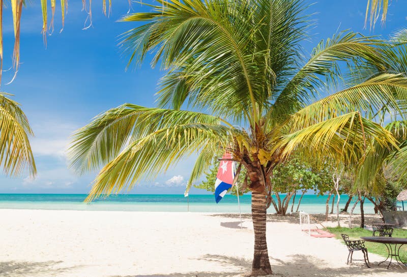 Great natural amazing view of Cuban Cayo Coco island beach with pretty fluffy palm tree in foreground